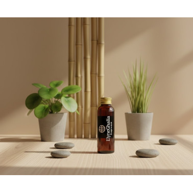 Recharge diffuseur -100 ml